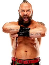 Wall Paper 新日本プロレスリング