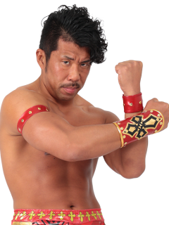 レスラー画像