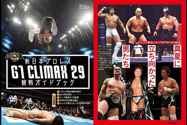 特別付録『G1 CLIMAX 29』観戦ガイドブック！オカダ、飯伏を真夏の祭典