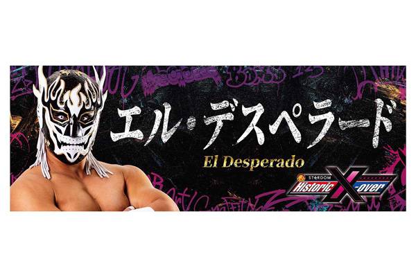 ハヤブサ マスク コインケース 紫 FMW 全日本プロレス 新日本プロレス ...