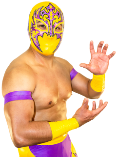 レスラー画像